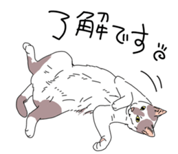 center pattern cat sticker #10834316