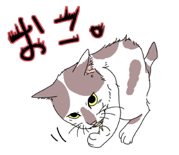 center pattern cat sticker #10834318