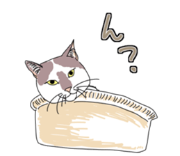 center pattern cat sticker #10834324