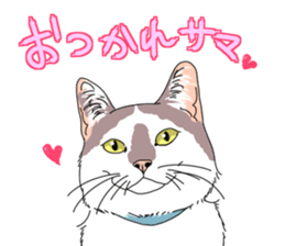 center pattern cat sticker #10834325