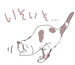 center pattern cat sticker #10834326