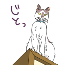 center pattern cat sticker #10834327