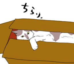 center pattern cat sticker #10834329