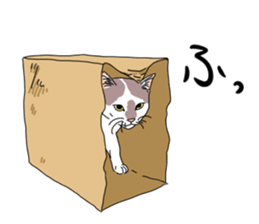 center pattern cat sticker #10834330