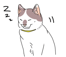 center pattern cat sticker #10834331