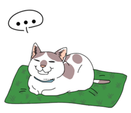 center pattern cat sticker #10834332