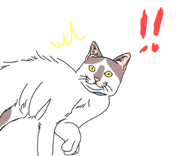 center pattern cat sticker #10834333