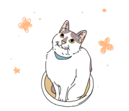 center pattern cat sticker #10834334