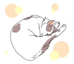 center pattern cat sticker #10834335