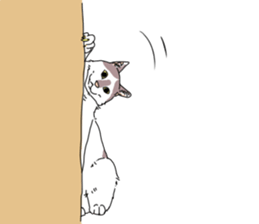 center pattern cat sticker #10834340