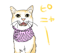 center pattern cat sticker #10834342