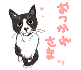 center pattern cat sticker #10834343