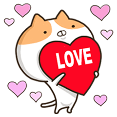 Playing cat and every day