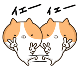 Playing cat and every day sticker #10834883