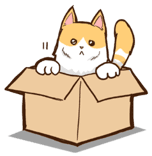 Chiffon the Cat (International) sticker #10835225