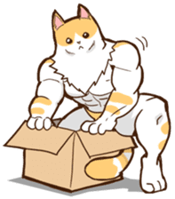 Chiffon the Cat (International) sticker #10835226