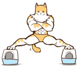 Chiffon the Cat (International) sticker #10835229