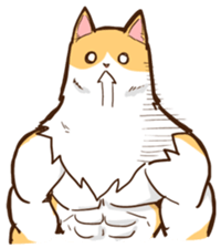 Chiffon the Cat (International) sticker #10835238