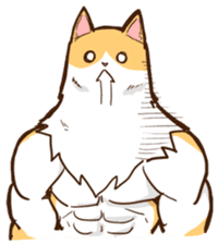 Chiffon the Cat (International) sticker #10835238