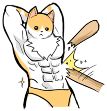 Chiffon the Cat (International) sticker #10835240