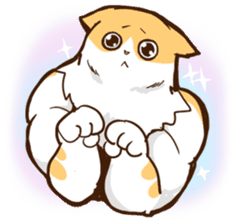 Chiffon the Cat (International) sticker #10835244