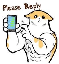 Chiffon the Cat (International) sticker #10835254