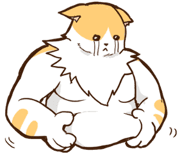 Chiffon the Cat (International) sticker #10835260