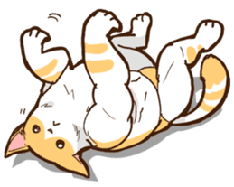 Chiffon the Cat (International) sticker #10835261