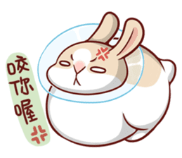 Fattubo Rabbit 3 sticker #10835677