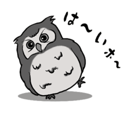 Owl (illustrations)Sticker sticker #10836424