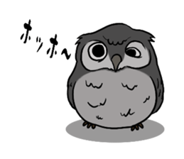 Owl (illustrations)Sticker sticker #10836425
