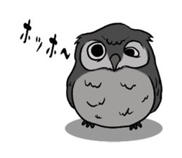 Owl (illustrations)Sticker sticker #10836425