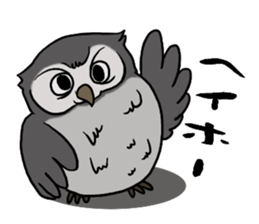 Owl (illustrations)Sticker sticker #10836427