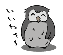 Owl (illustrations)Sticker sticker #10836432