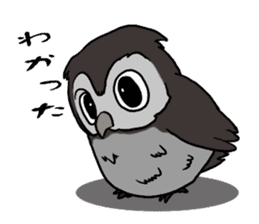 Owl (illustrations)Sticker sticker #10836443