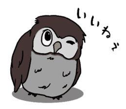 Owl (illustrations)Sticker sticker #10836444