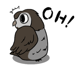 Owl (illustrations)Sticker sticker #10836445