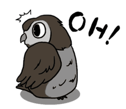 Owl (illustrations)Sticker sticker #10836445