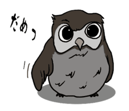 Owl (illustrations)Sticker sticker #10836446