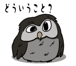 Owl (illustrations)Sticker sticker #10836447