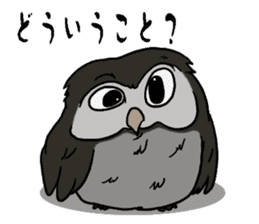 Owl (illustrations)Sticker sticker #10836447
