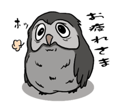 Owl (illustrations)Sticker sticker #10836449