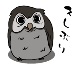 Owl (illustrations)Sticker sticker #10836450