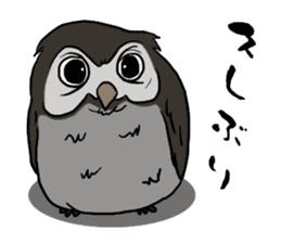 Owl (illustrations)Sticker sticker #10836450