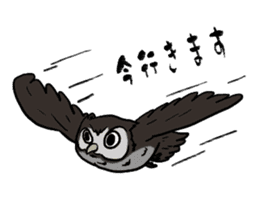 Owl (illustrations)Sticker sticker #10836452