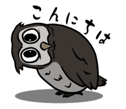 Owl (illustrations)Sticker sticker #10836454