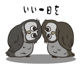 Owl (illustrations)Sticker sticker #10836458