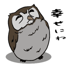 Owl (illustrations)Sticker sticker #10836461