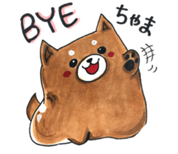 Chama-Shiba sticker #10837754
