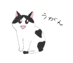 Cat sticker -six cats- sticker #10839550